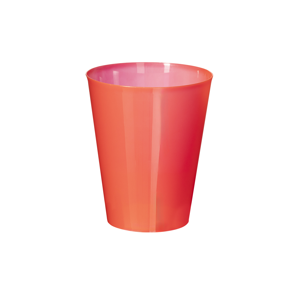 Cup Colorbert Cup Colorbert