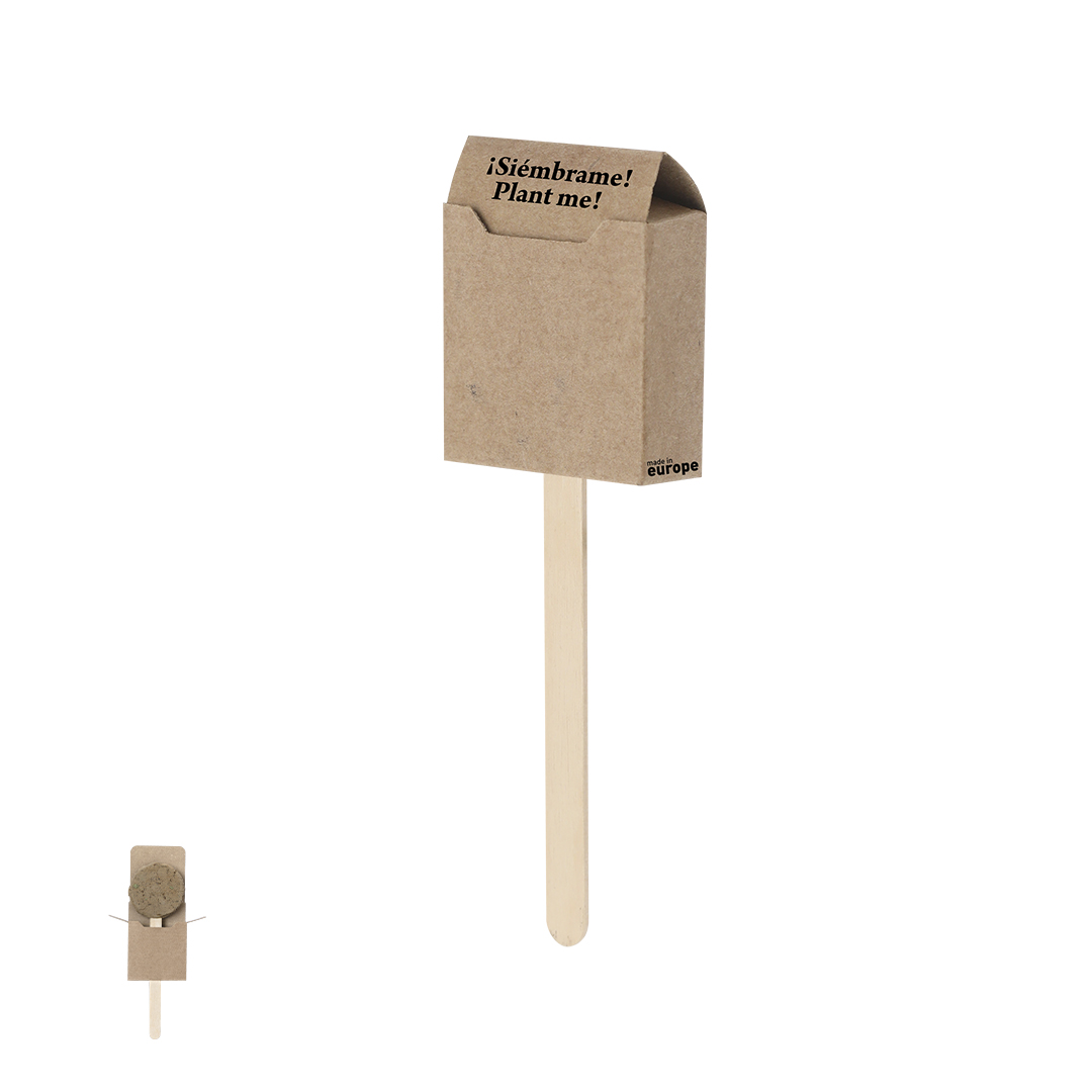 Seed Lollipop Ebeldy