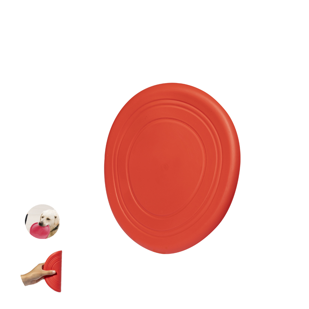 Frisbee Girud