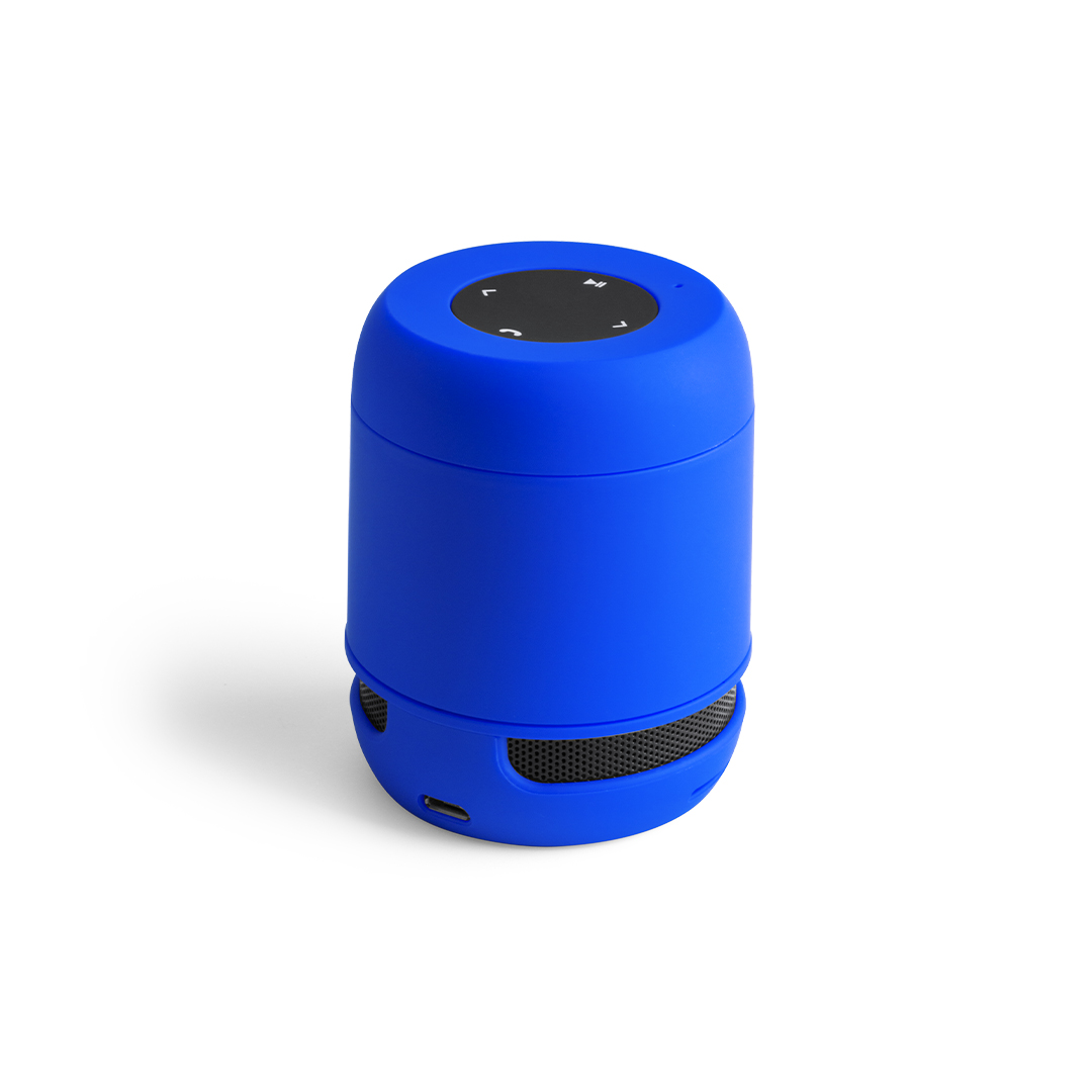 Speaker Braiss