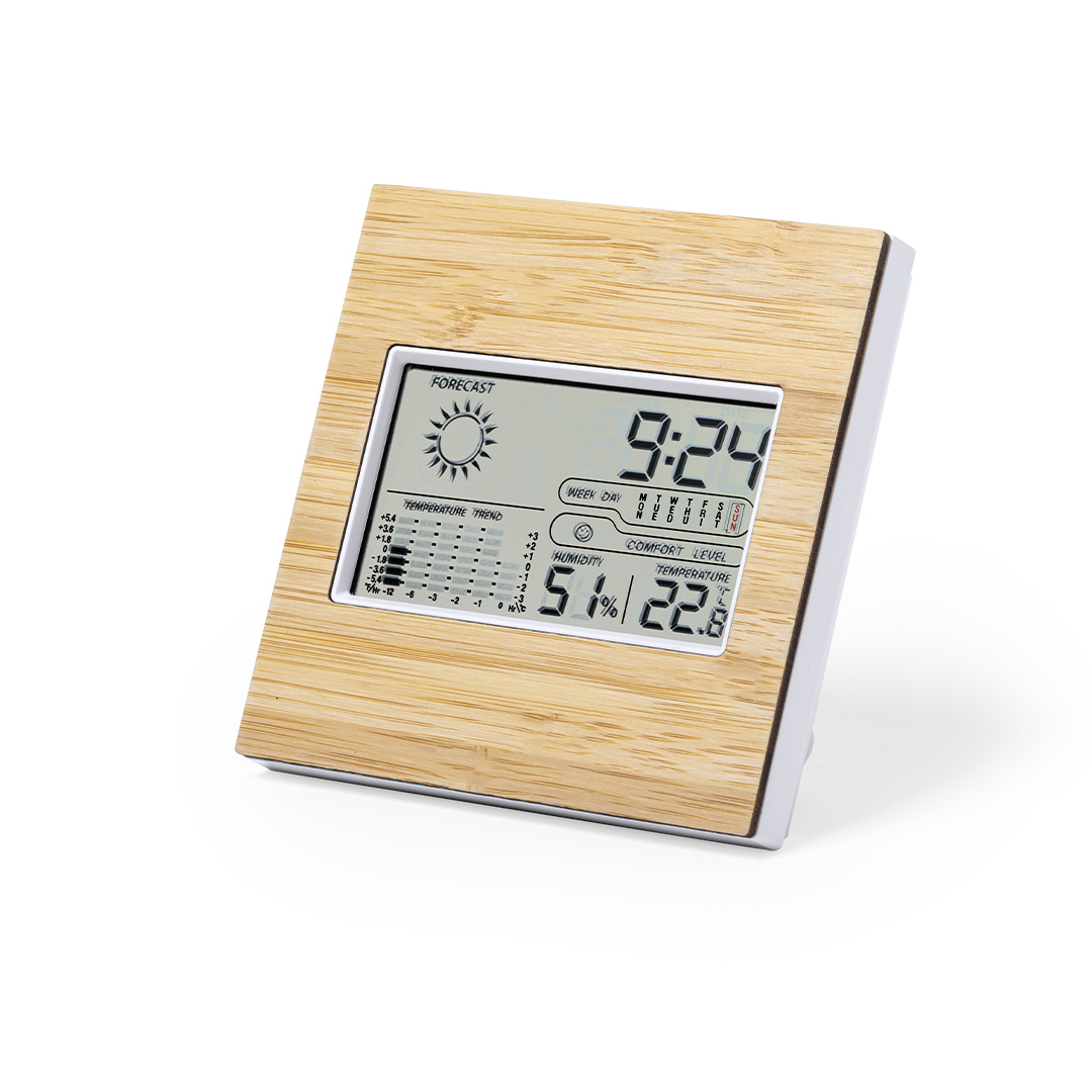 Weather Station Behox