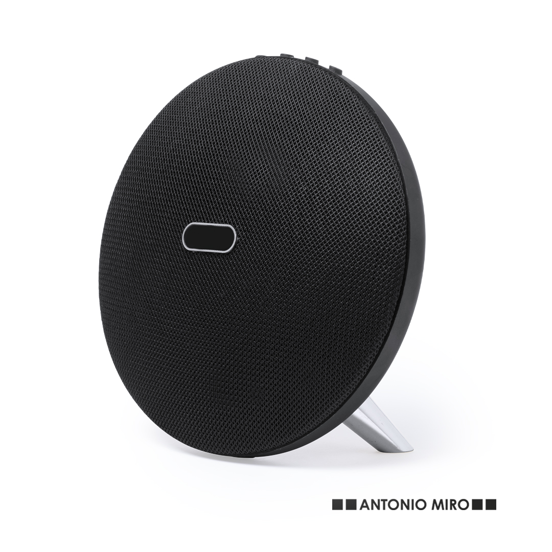 Speaker Holsux
